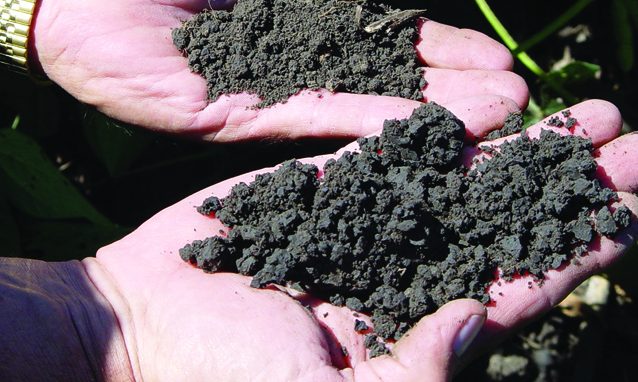cropped-soil-2.jpg